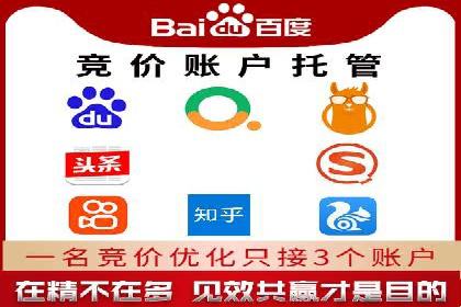 sem运营公司：效果为王的策略
